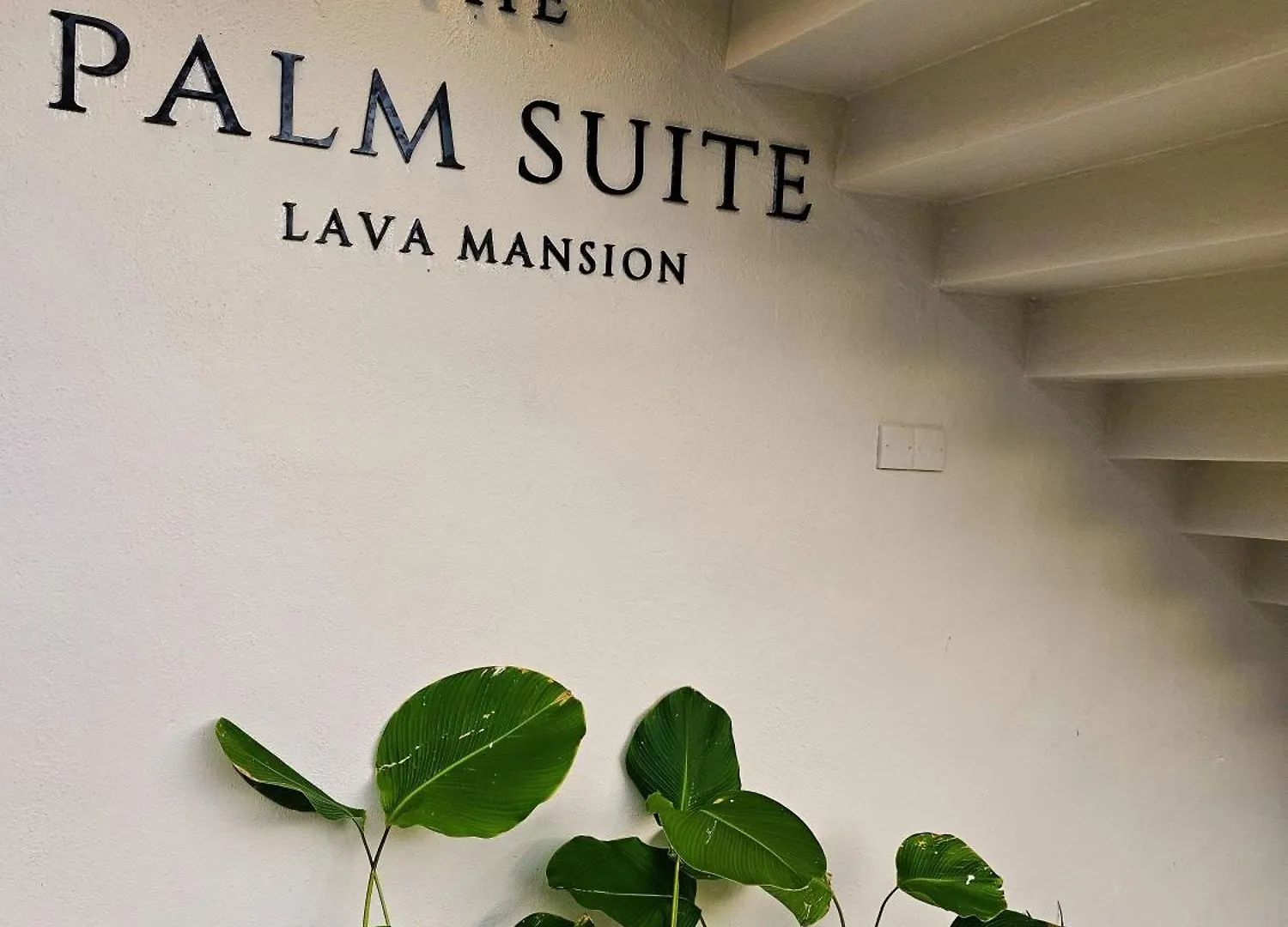 The Palm Suite At Lava Mansion George Town Otel